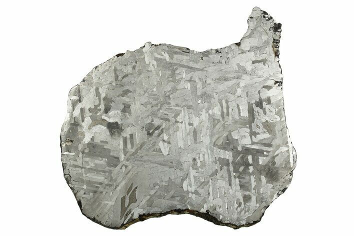 Etched Toluca Iron Meteorite ( g) Slice - Mexico #311203